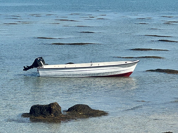 Fiske båt til leie 3 of 4
