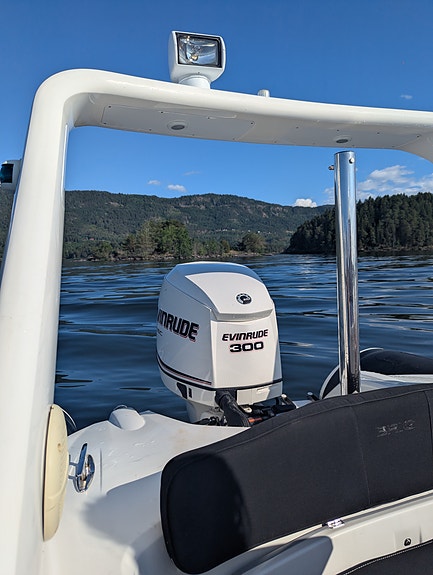 Brig Eagle 650 m/Evinrude e-tec 300hk 4 of 5