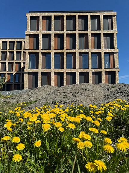 Bilde 6 av 6 i jobbannonse-galleriet