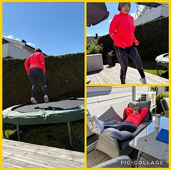 Aktiviteter i hagen