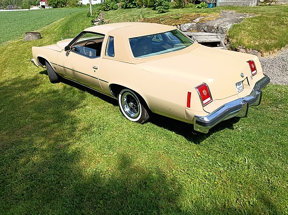 Pontiac Grand Prix 1977 photo 4