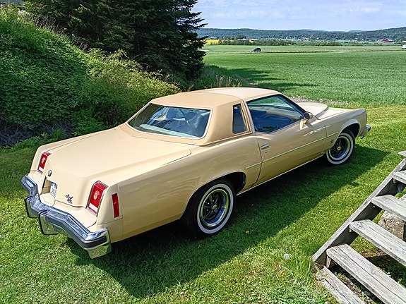 Pontiac Grand Prix 1977 photo 3