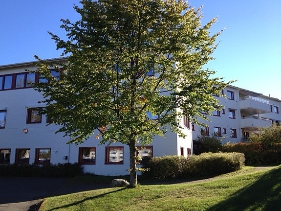 Bilde 4 av 6 i jobbannonse-galleriet