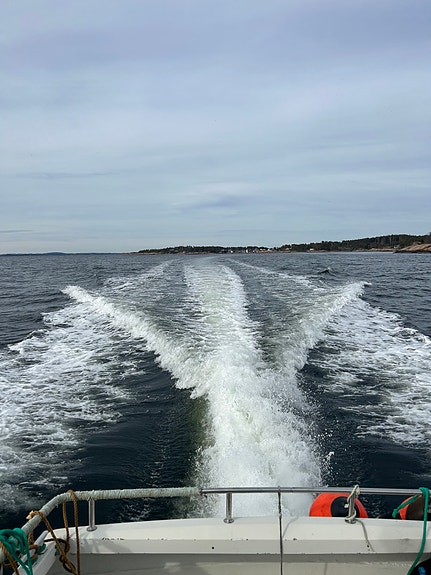 Viksund 750 Sport (nesten ny motor) 9 of 28