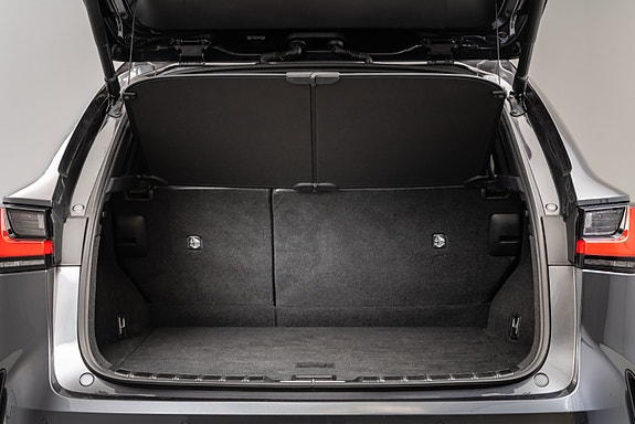 Lexus NX450h 12 of 30