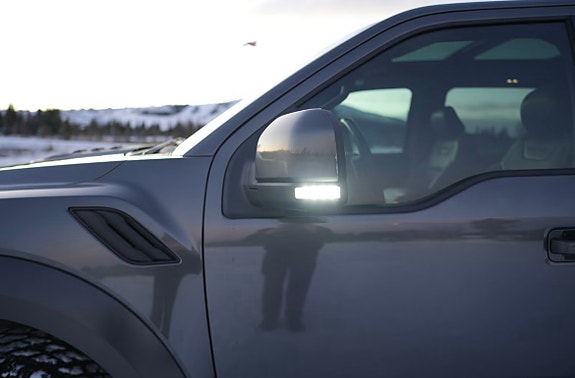 Ford F-150 27 of 30