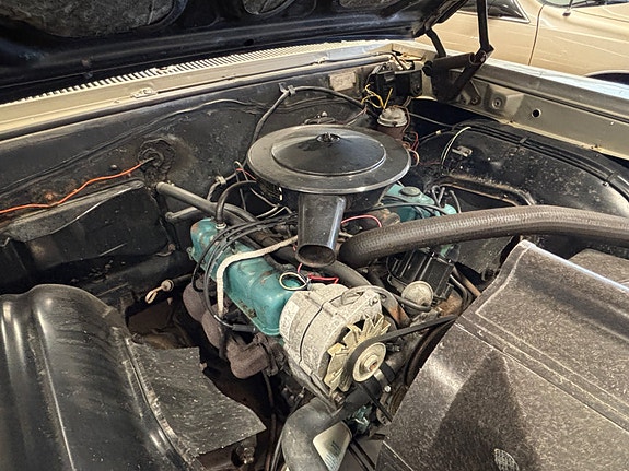 Buick Skylark 18 of 29