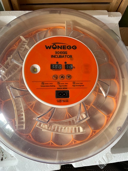 Product image 3 of 7