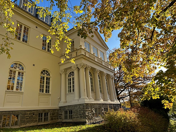 Elvegata 17, Kalvskinnet