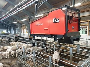 Bilde 2 av 5 i jobbannonse-galleriet