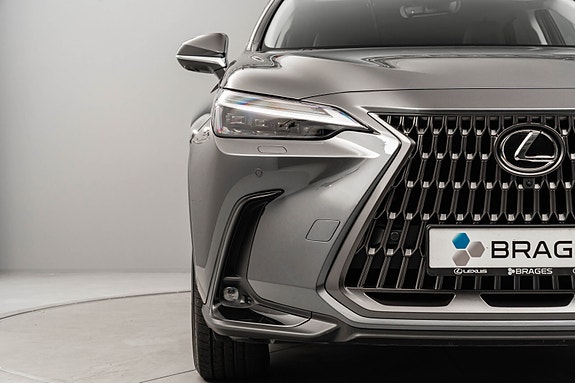 Lexus NX450h 10 of 26