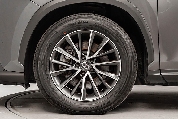 Lexus NX450h 7 of 26