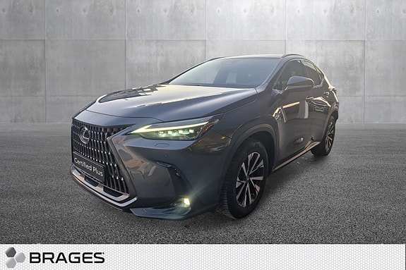 Lexus NX450h 15 of 30