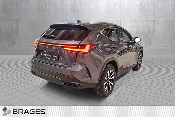 Lexus NX450h 19 of 30