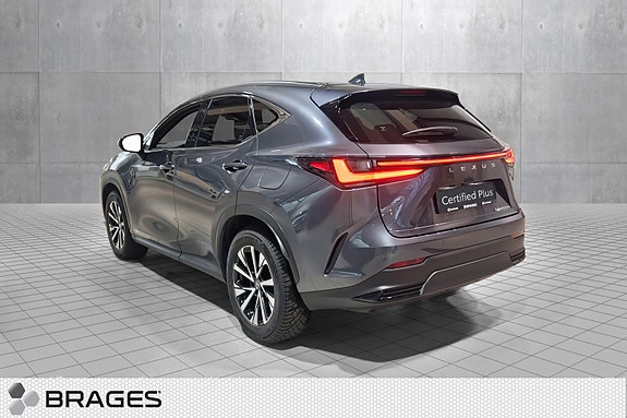 Lexus NX450h 16 of 30