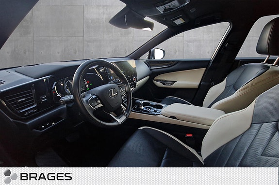 Lexus NX450h 10 of 30