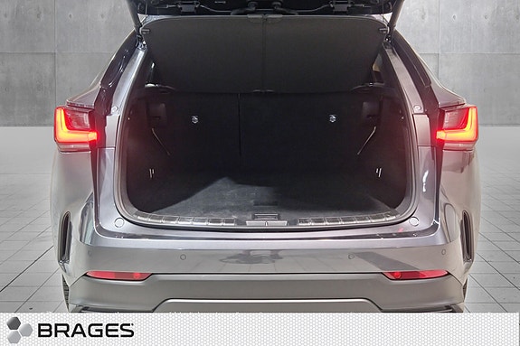 Lexus NX450h 20 of 30