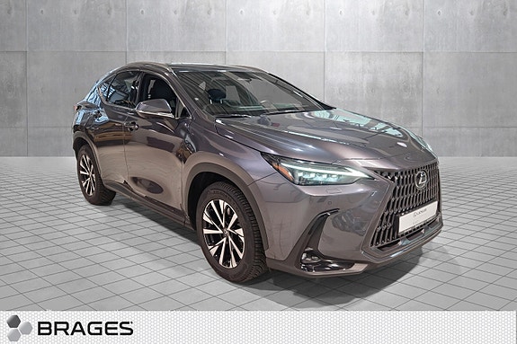 Lexus NX450h 18 of 30