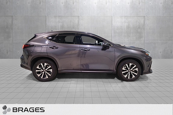Lexus NX450h 17 of 30