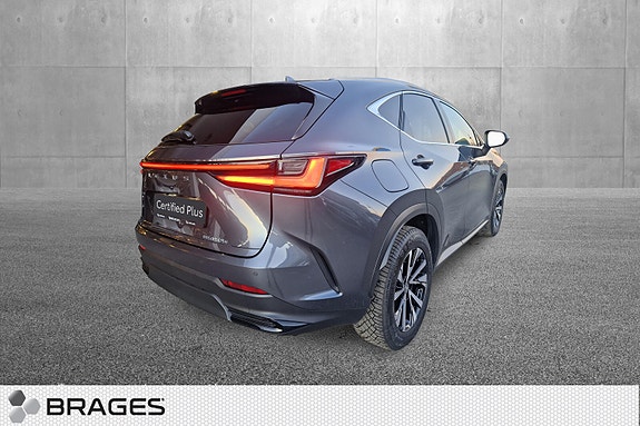 Lexus NX450h 4 of 30