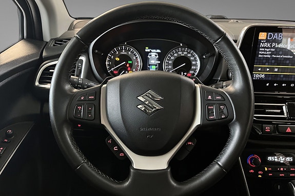 Suzuki SX4 S-Cross 18 of 19