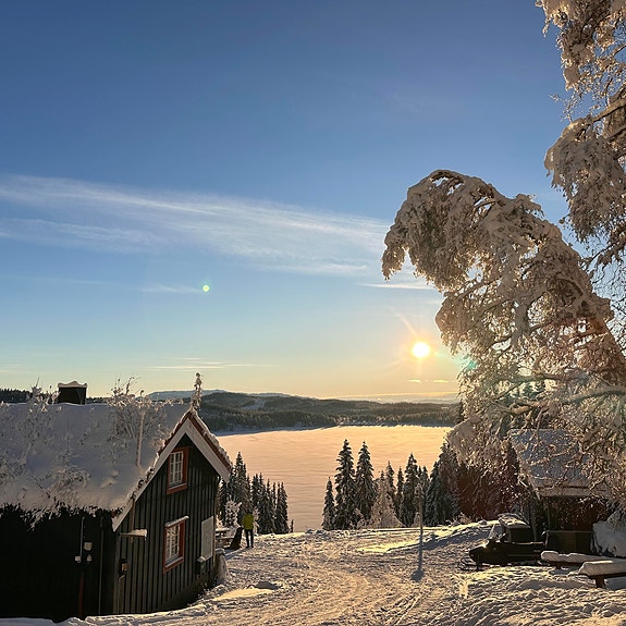 Grønlia