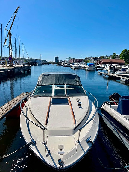 Velholdt Sea Ray 21 fot 5 of 5