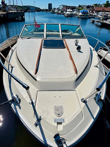 Velholdt Sea Ray 21 fot 2 of 5