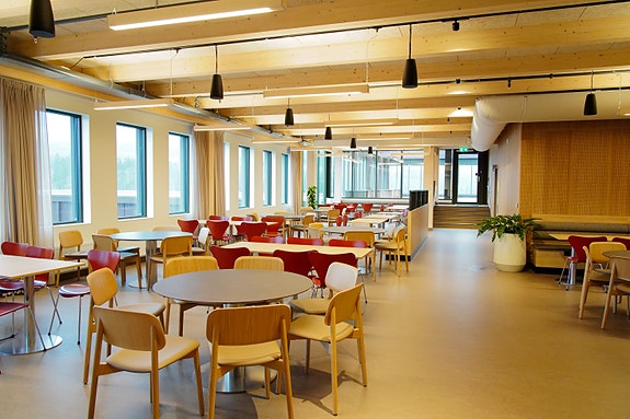 Bilde 9 av 9 i jobbannonse-galleriet