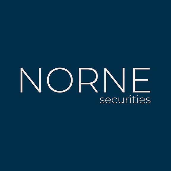 Norne Securities AS logo