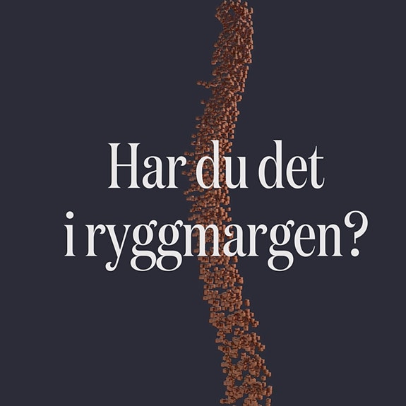 Bilde fra arbeidsgiver