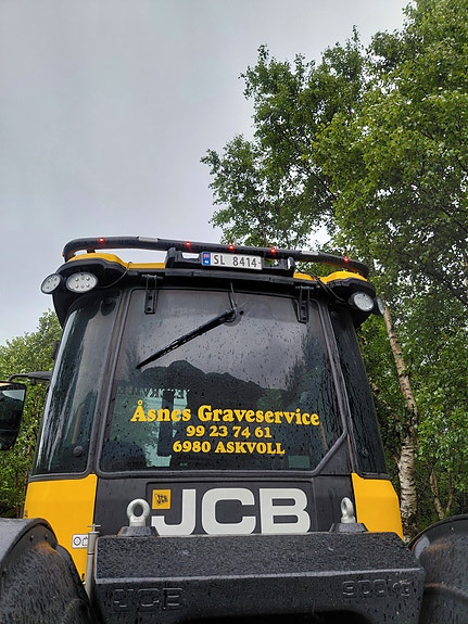 JCB Fastrac ICON. 4220 4 of 30