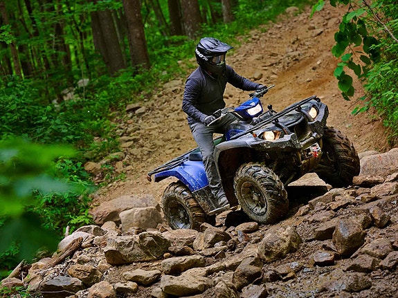 Yamaha KODIAK 450 EPS SE 5 of 9