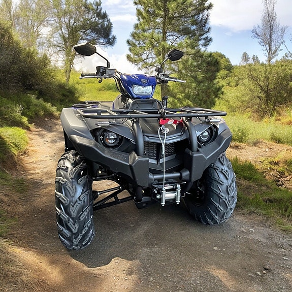 Yamaha KODIAK 450 EPS SE 3 of 9