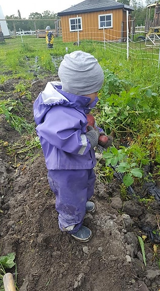 Her fant jeg en potet!