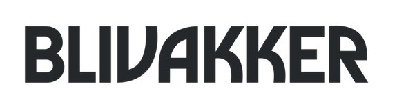 Brandsdal Group AS logo