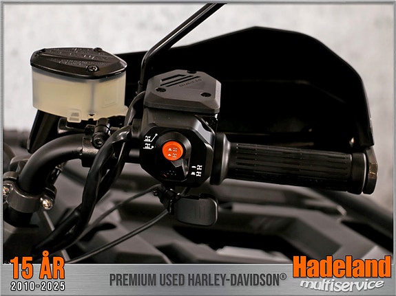 Segway Snarler AT10W ABS / 120km/t 11 of 11