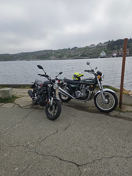 Kawasaki Z 900 21 of 21