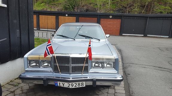 Dodge Diplomat 1986 photo 5