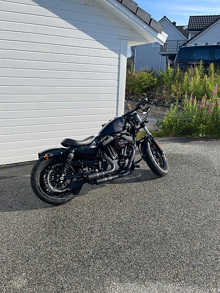 Harley-Davidson XL 1200X Forty-Eight 2 of 7
