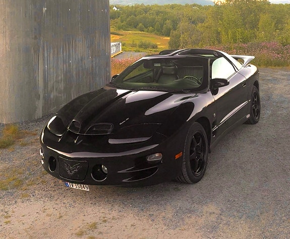 Pontiac Trans Am 2 of 5