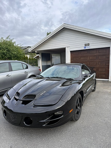 Pontiac Trans Am 4 of 5