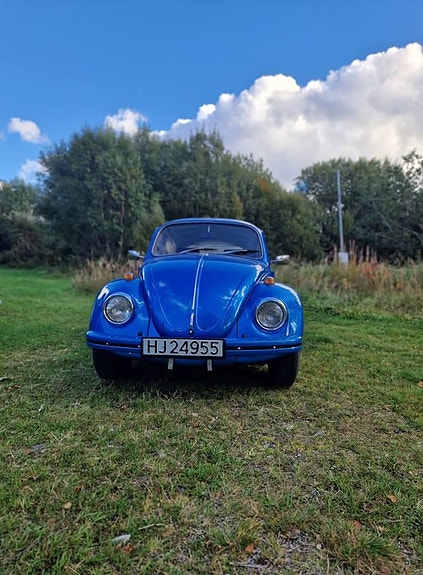 Volkswagen 1500 1969 photo 4