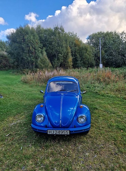 Volkswagen 1500 1969 photo 3