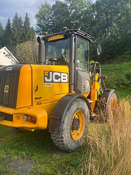 JCB 411 4 of 5