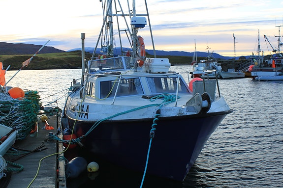 Viksund 31 Combi 5 of 30