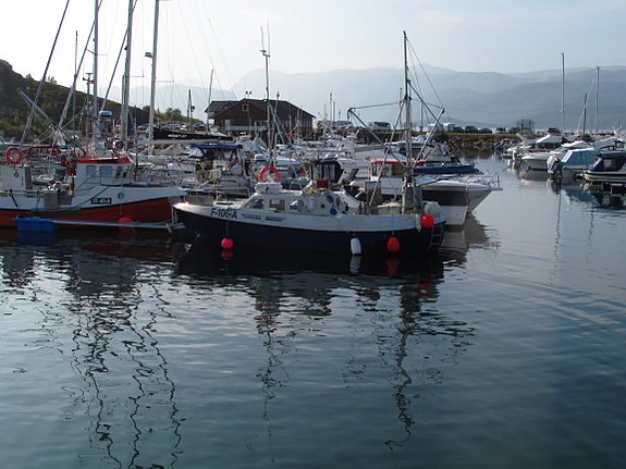 Viksund 31 Combi 3 of 30