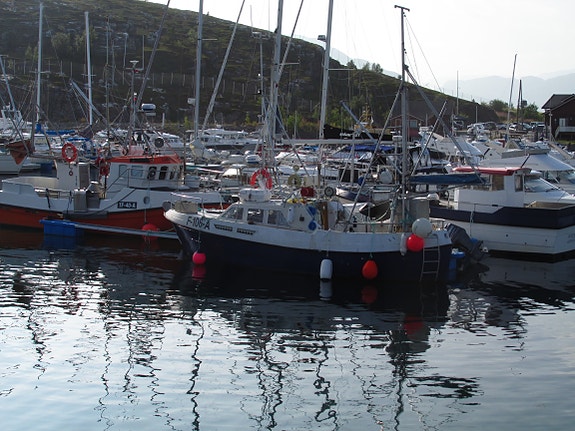 Viksund 31 Combi 4 of 30