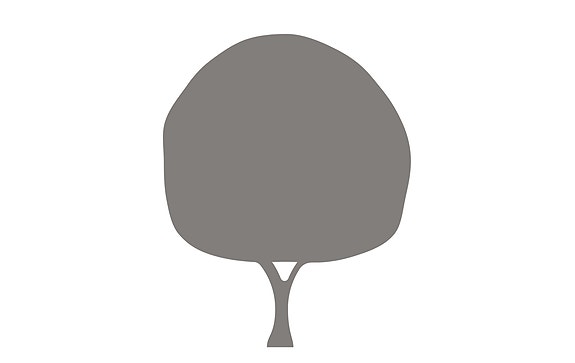 DE BERGENSKE AS logo