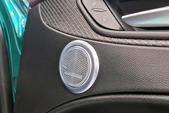 Alfa Romeo Stelvio Quadrifoglio 25 of 30
